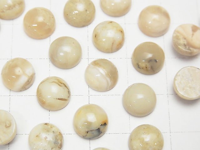 [Video] African Opal Round Cabochon 8x8mm 3pcs