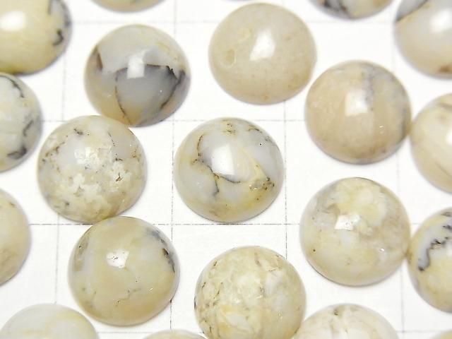[Video] African Opal Round Cabochon 10x10mm 3pcs
