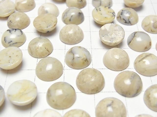 [Video] African Opal Round Cabochon 10x10mm 3pcs