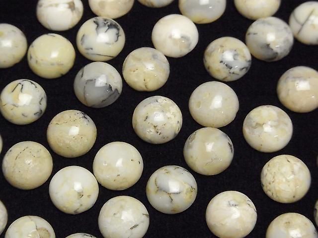 [Video] African Opal Round Cabochon 10x10mm 3pcs