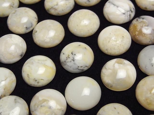 [Video] African Opal Round Cabochon 12x12mm 2pcs