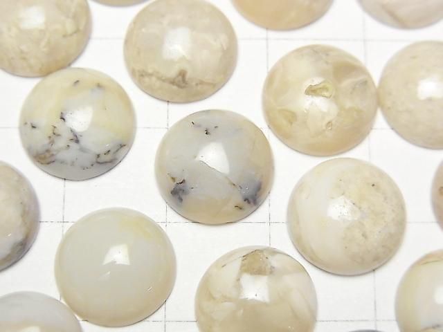 [Video] African Opal Round Cabochon 12x12mm 2pcs