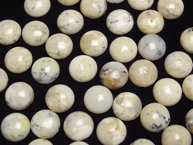 [Video] African Opal Round Cabochon 12x12mm 2pcs