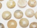 [Video] African Opal Round Cabochon 14x14mm 2pcs