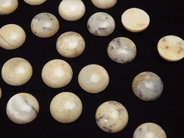 [Video] African Opal Round Cabochon 14x14mm 2pcs