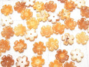 [Video] Orange Shell AAA Flower 10mm Center Hole 3pcs