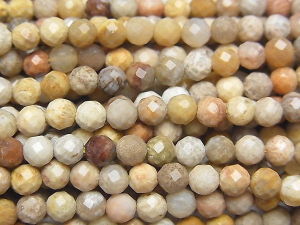 Coral, Faceted Round Natural Beads