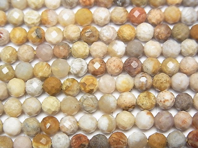 [Video]High Quality! Fossil Coral Faceted Round 4mm 1strand beads (aprx.15inch/37cm)