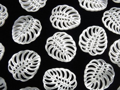 [Video] High Quality White Shell Watermark Leaf 20x18mm 2pcs