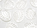 [Video] High Quality White Shell Watermark Leaf 20x18mm 2pcs