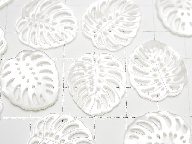 [Video] High Quality White Shell Watermark Leaf 20x18mm 2pcs