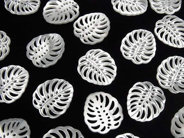 [Video] High Quality White Shell Watermark Leaf 20x18mm 2pcs