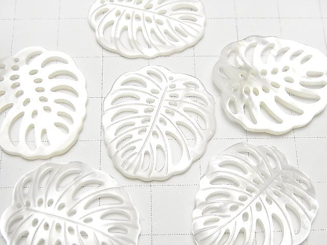 [Video] High Quality White Shell Watermark Leaf 25x23mm 1pc