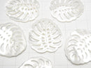 [Video] High Quality White Shell Watermark Leaf 30x27mm 1pc
