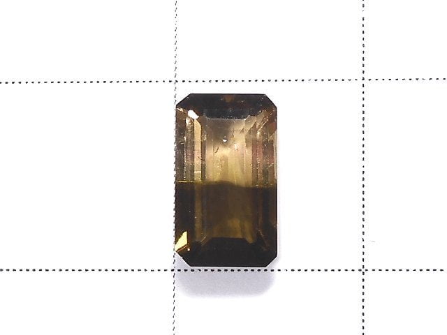 [Video] [One of a kind] Nigeria High Quality Bi-color Tourmaline AAA Faceted 1pc NO.207