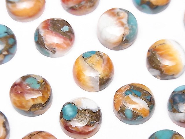 [Video] Oyster Copper Turquoise AAA Round Cabochon 10x10mm 2pcs