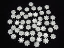 [Video] High Quality White Shell (Silver-lip Oyster) AAA Flower 12mm Center Hole 2pcs