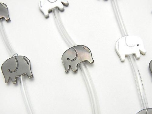 [Video] High Quality Black Shell (Black-lip Oyster) AAA Elephant Shape 10x9mm half or 1strand (Approx 12pcs)