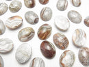 [Video] Mexican Agate Oval Cabochon 20x15mm 2pcs
