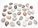 [Video] Mexican Agate Pear shape Cabochon 18x13mm 2pcs