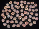 [Video] High Quality Pink Chalcedony AAA Oval Cabochon 10x8mm 5pcs