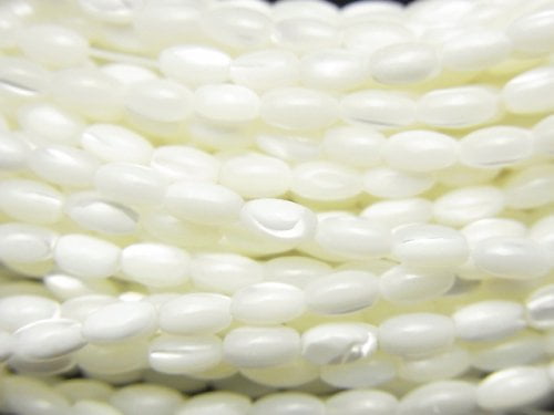 Mother of Pearl (Shell Beads), Rice Pearl & Shell Beads