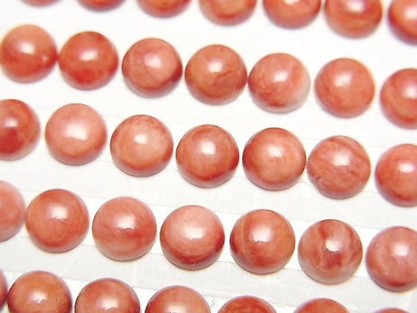 [Video] Spiny Oyster Shell Round Cabochon 6x6mm 2pcs