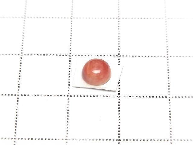 [Video] Spiny Oyster Shell Round Cabochon 6x6mm 2pcs