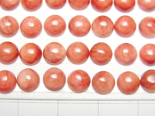 [Video] Spiny Oyster Shell Round Cabochon 6x6mm 2pcs