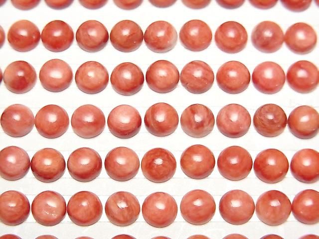 [Video] Spiny Oyster Shell Round Cabochon 6x6mm 2pcs