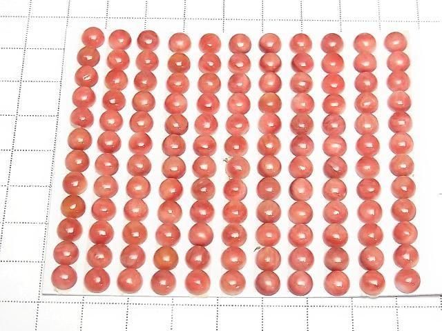 [Video] Spiny Oyster Shell Round Cabochon 6x6mm 2pcs