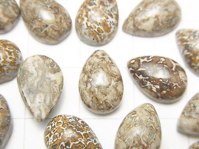 [Video] Morocco Dinosaur Bone Fossil Pear shape Cabochon 12x8mm 5pcs