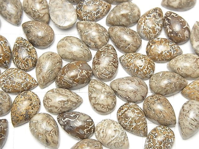 [Video] Morocco Dinosaur Bone Fossil Pear shape Cabochon 12x8mm 5pcs