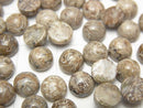 [Video] Morocco Dinosaur Bone Fossil Round Cabochon 6x6mm 10pcs