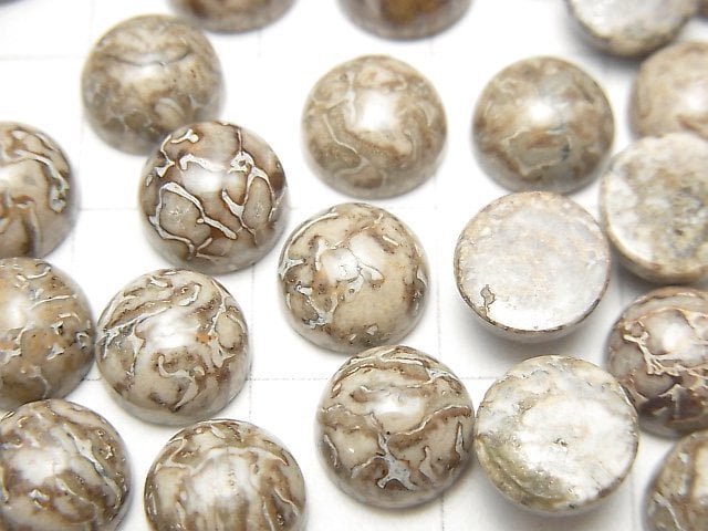 [Video] Morocco Dinosaur Bone Fossil Round Cabochon 8x8mm 5pcs