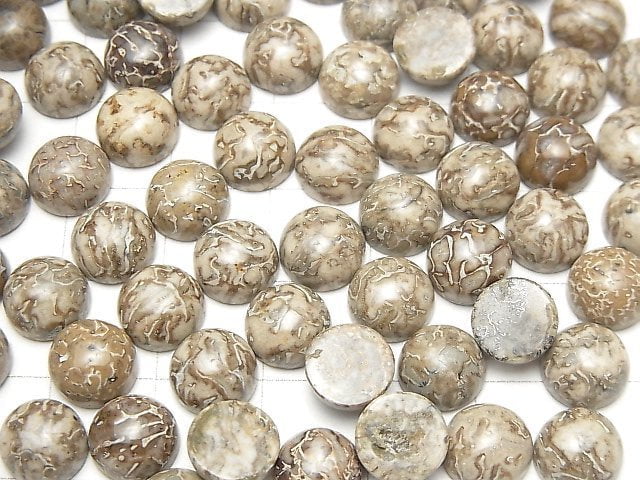 [Video] Morocco Dinosaur Bone Fossil Round Cabochon 8x8mm 5pcs