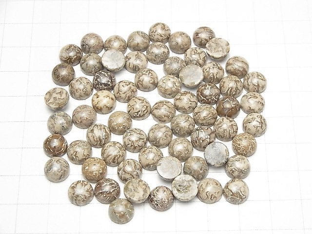 [Video] Morocco Dinosaur Bone Fossil Round Cabochon 8x8mm 5pcs