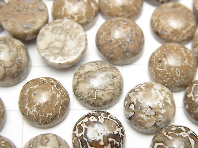 [Video] Morocco Dinosaur Bone Fossil Round Cabochon 10x10mm 5pcs