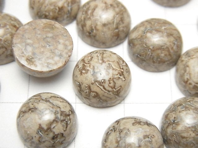 [Video] Morocco Dinosaur Bone Fossil Round Cabochon 12x12mm 4pcs