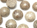 Cabochon, Other Stones Gemstone Beads
