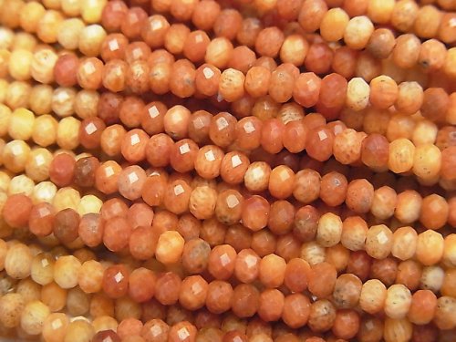 Coral, Roundel Natural Beads