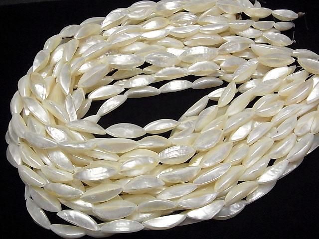 [Video] Troca Shell Garlic Shape 18-22mm 1strand beads (aprx.14inch/35cm)