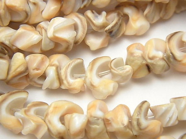 Mother of Pearl (Shell Beads), Nugget Pearl & Shell Beads