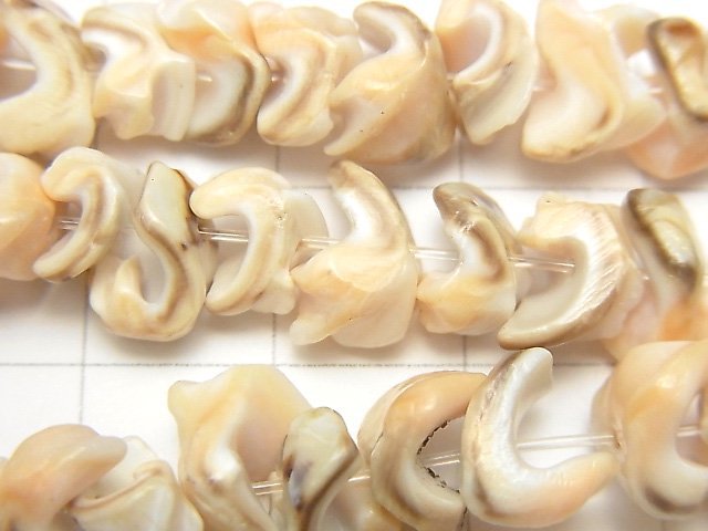 [Video] Volute Shell Small Nugget 1strand beads (aprx.15inch / 38cm)