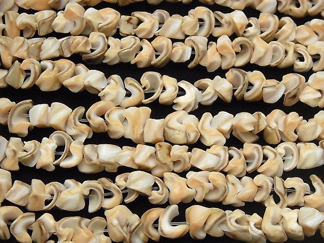 [Video] Volute Shell Small Nugget 1strand beads (aprx.15inch / 38cm)