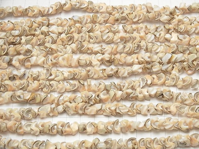 [Video] Volute Shell Small Nugget 1strand beads (aprx.15inch / 38cm)