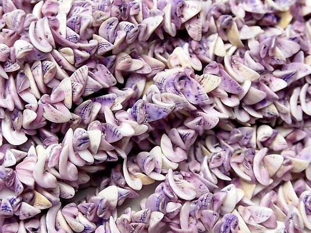 [Video] Cebu Beauty Shell Chips 1 strand beads (approx. 15 inch/37 cm)