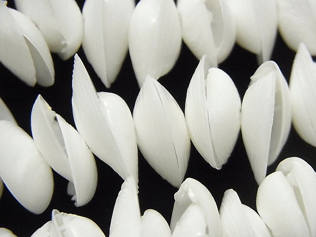 Mother of Pearl (Shell Beads), Other Shape Pearl & Shell Beads