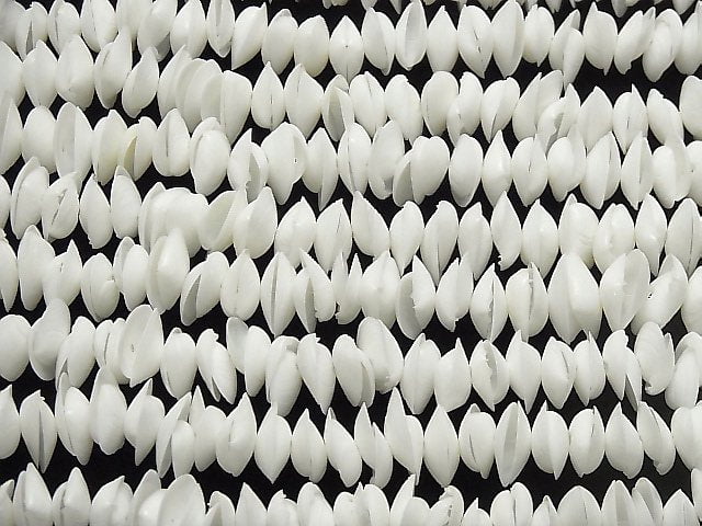 [Video] White Kaykay Shell Beads 1strand beads (aprx.15inch / 38cm)