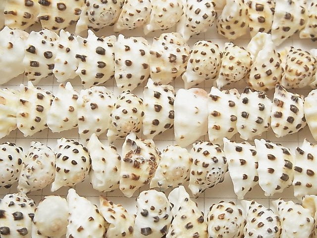 [Video] Drupa Shell beads 1strand beads (aprx.15inch / 38cm)